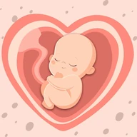HiMommy: Ovulation & Pregnancy