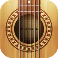 Real Guitar: acoustic electric