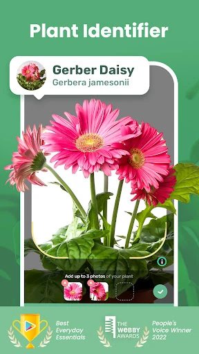 Blossom - Plant Identifier — 1