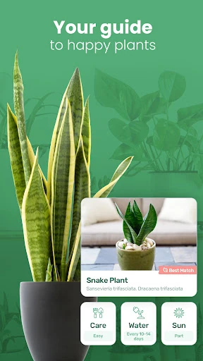 Blossom - Plant Identifier — 2