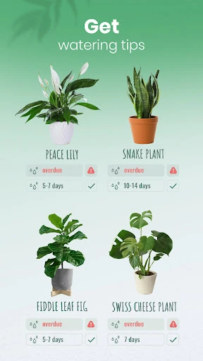 Blossom - Plant Identifier — 4