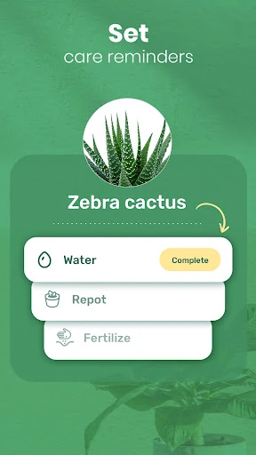 Blossom - Plant Identifier — 6